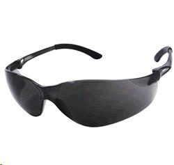 Rental store for GLASSES, NSX TURBO GRAY in Chico CA