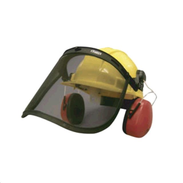 Rental store for EAR MUFF   FACE SHIELD COMBO in Chico CA